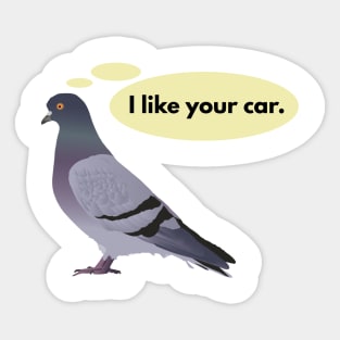 Pigeon Likes Your Car Sticker